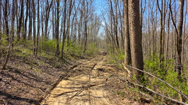 More of Tract 5 at Muskingum Woods