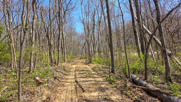 More of Tract 5 at Muskingum Woods