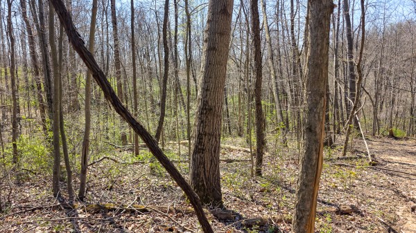 Tract 5 at Muskingum Woods property photo