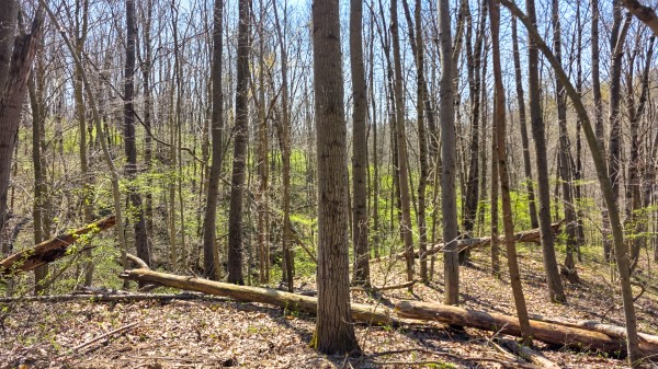Tract 5 at Muskingum Woods property photo