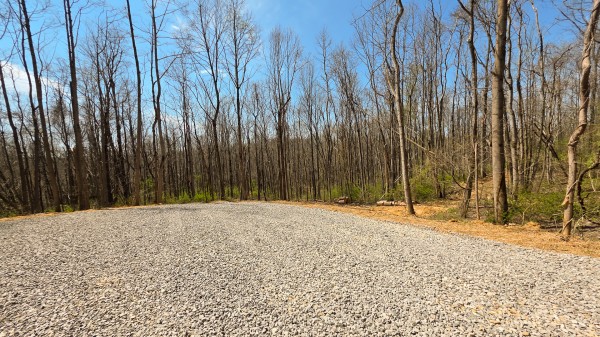 Tract 4 at Muskingum Woods property photo