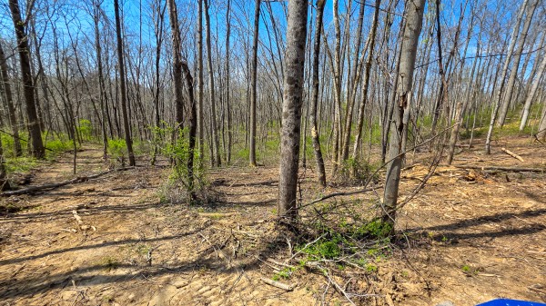 Tract 4 at Muskingum Woods property photo