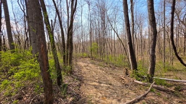 Tract 4 at Muskingum Woods property photo
