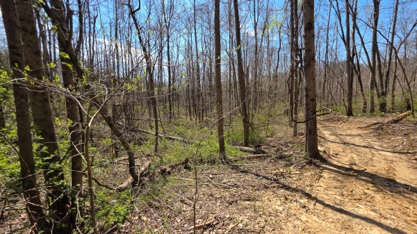 Tract 4 at Muskingum Woods property photo
