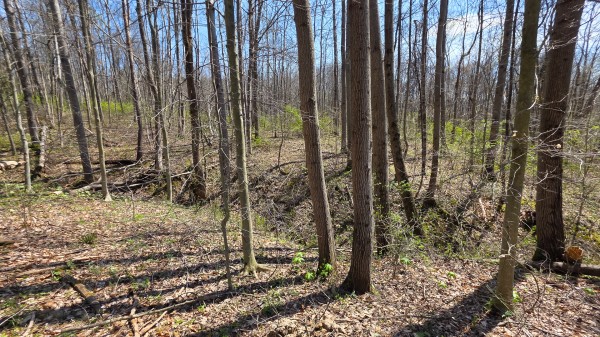 Tract 4 at Muskingum Woods property photo