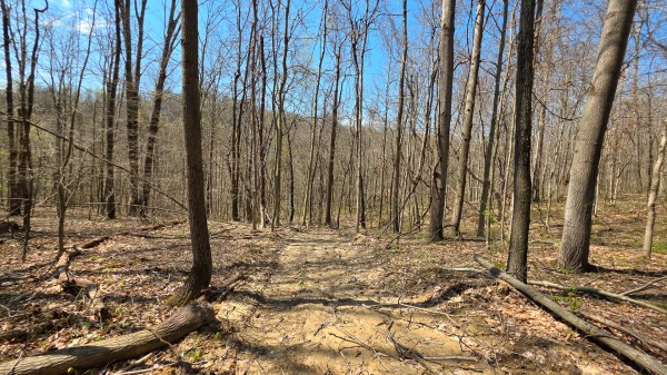 Tract 4 at Muskingum Woods property photo