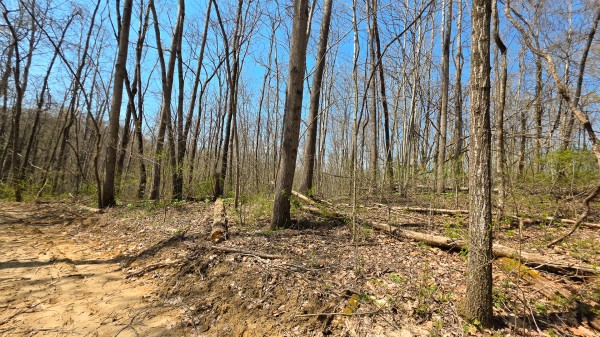 Tract 4 at Muskingum Woods property photo