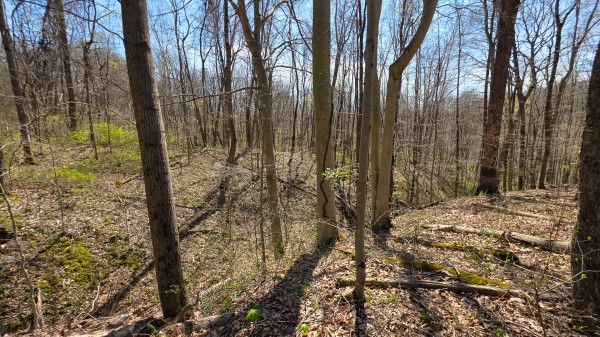Tract 4 at Muskingum Woods property photo