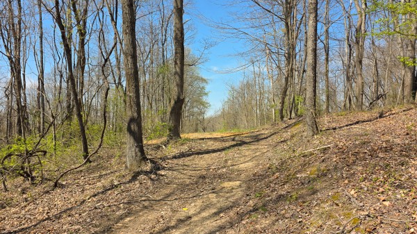 More of Tract 4 at Muskingum Woods
