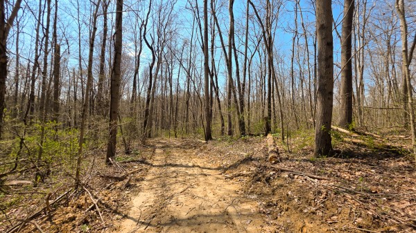More of Tract 4 at Muskingum Woods