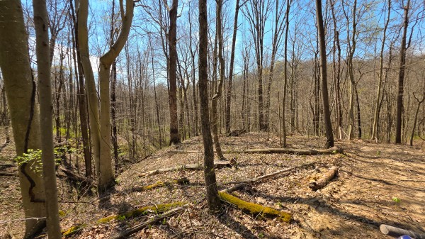 More of Tract 4 at Muskingum Woods