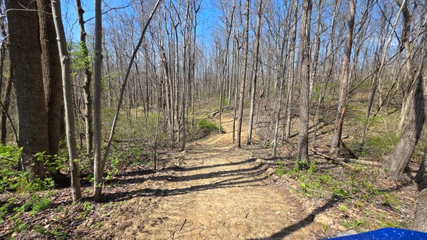 More of Tract 4 at Muskingum Woods