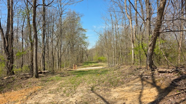 More of Tract 4 at Muskingum Woods