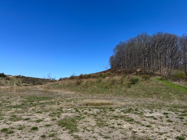 105 Acre - Sulphur Spring Rd property photo