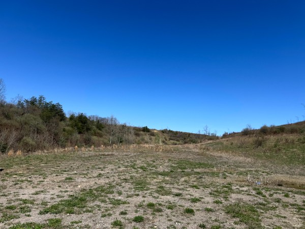 105 Acre - Sulphur Spring Rd property photo