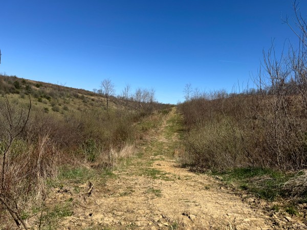 105 Acre - Sulphur Spring Rd property photo
