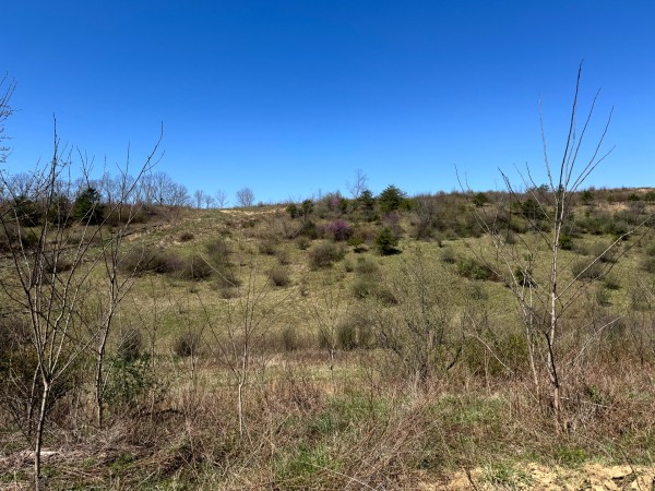 105 Acre - Sulphur Spring Rd property photo
