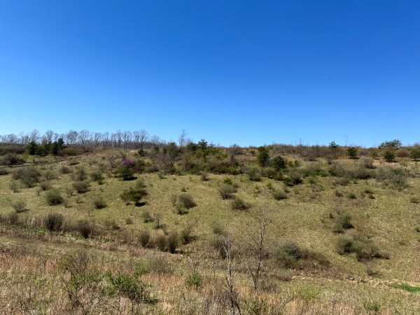 105 Acre - Sulphur Spring Rd property photo