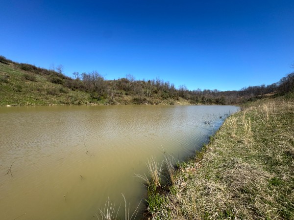 105 Acre - Sulphur Spring Rd property photo