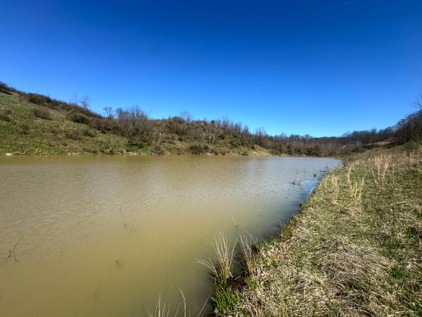 105 Acre - Sulphur Spring Rd property photo
