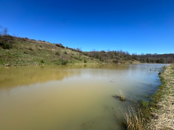 105 Acre - Sulphur Spring Rd property photo