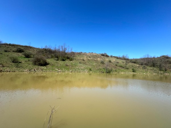 105 Acre - Sulphur Spring Rd property photo