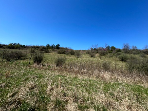 105 Acre - Sulphur Spring Rd property photo