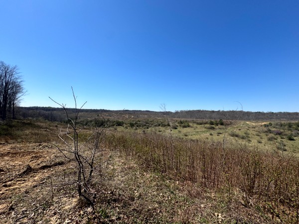 105 Acre - Sulphur Spring Rd property photo
