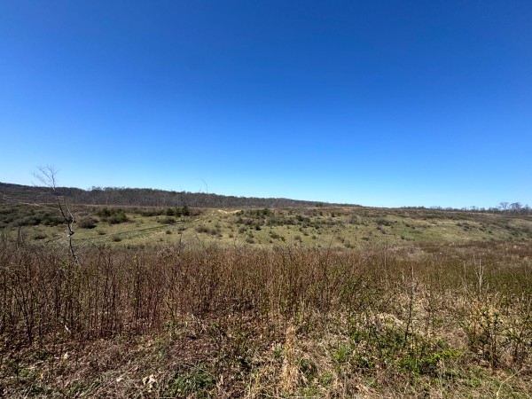 105 Acre - Sulphur Spring Rd property photo