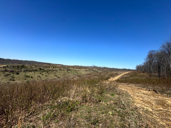 105 Acre - Sulphur Spring Rd property photo