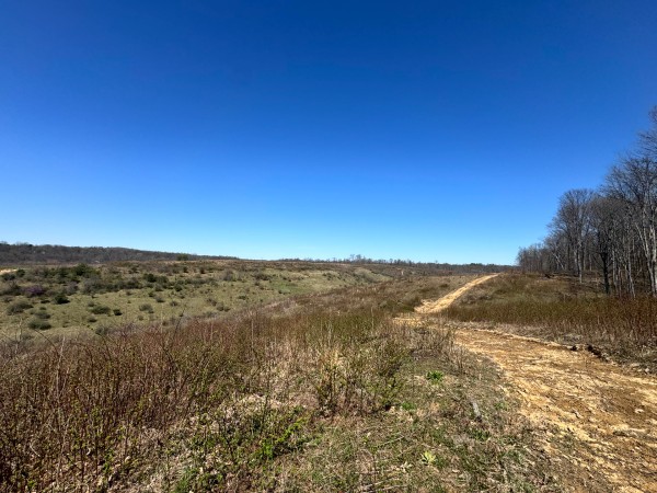 105 Acre - Sulphur Spring Rd property photo