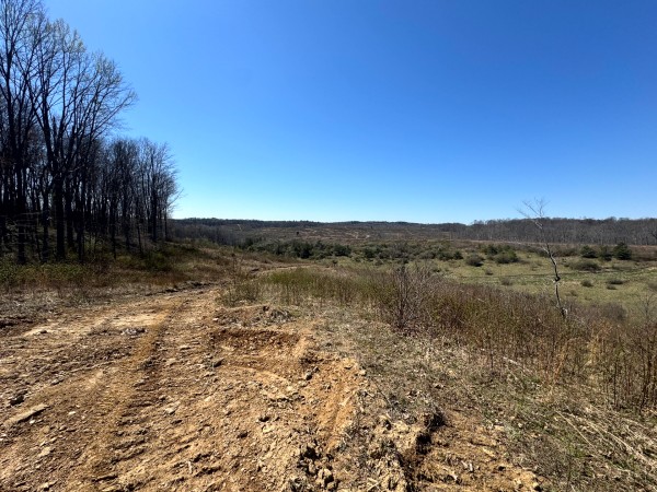 105 Acre - Sulphur Spring Rd property photo