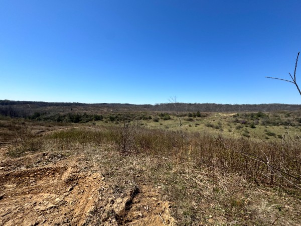 105 Acre - Sulphur Spring Rd property photo