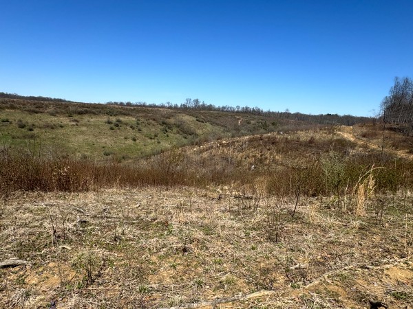 105 Acre - Sulphur Spring Rd property photo
