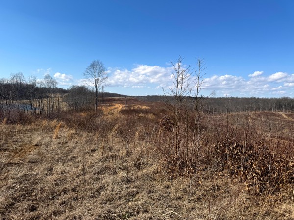 More of 105 Acre - Sulphur Spring Rd