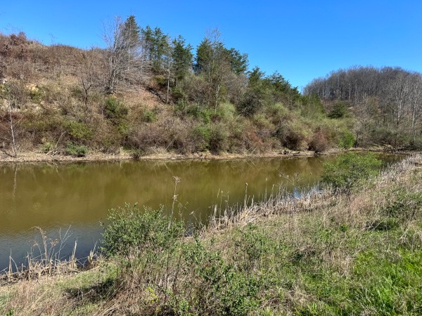 105 Acre - Sulphur Spring Rd property photo