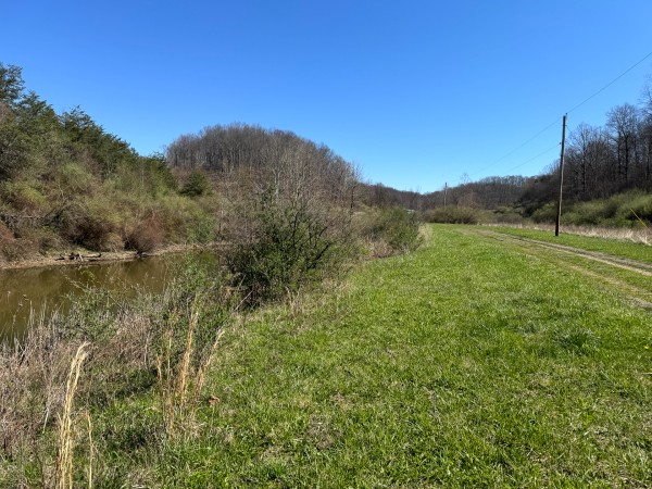 105 Acre - Sulphur Spring Rd property photo