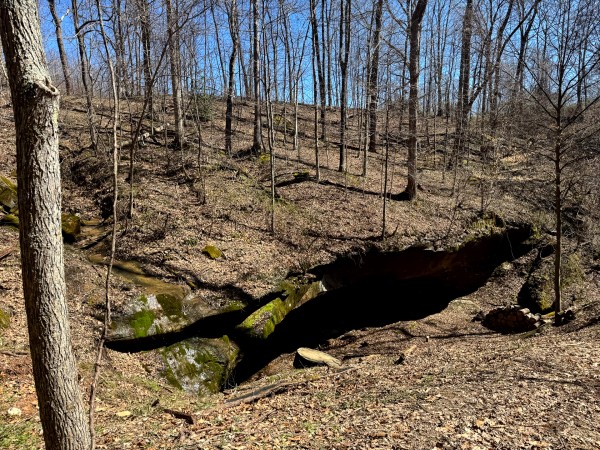 Tract 1 - Millstone Caves property photo