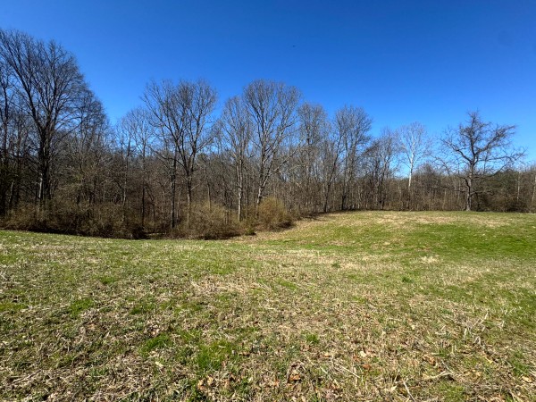 Tract 1 - Millstone Caves property photo