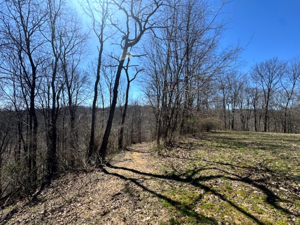 Tract 1 - Millstone Caves property photo