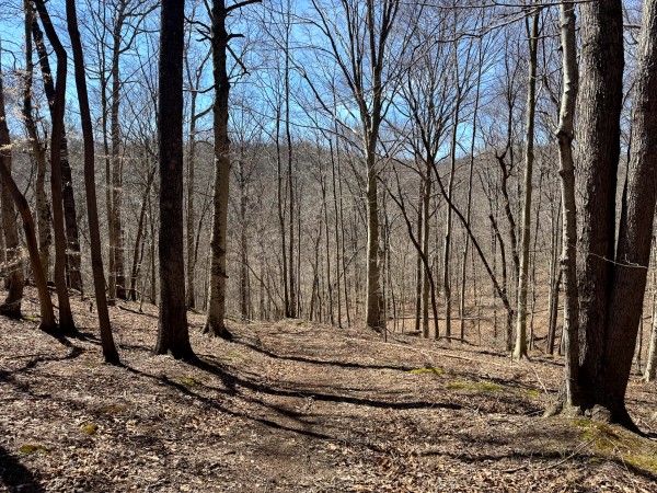 Tract 1 - Millstone Caves property photo