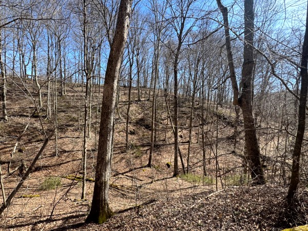 Tract 1 - Millstone Caves property photo