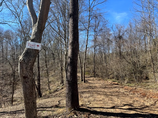 Tract 1 - Millstone Caves property photo