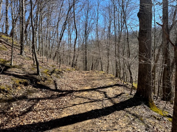Tract 1 - Millstone Caves property photo
