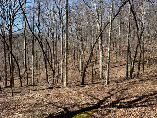 Tract 1 - Millstone Caves property photo