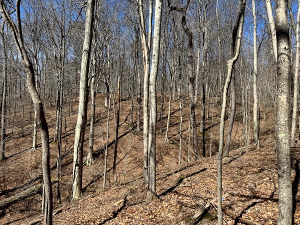 Tract 1 - Millstone Caves property photo