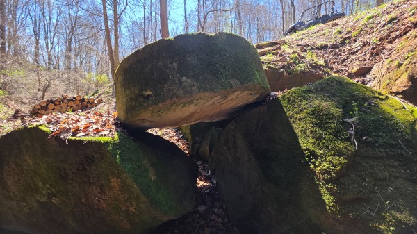 More of Tract 1 - Millstone Caves