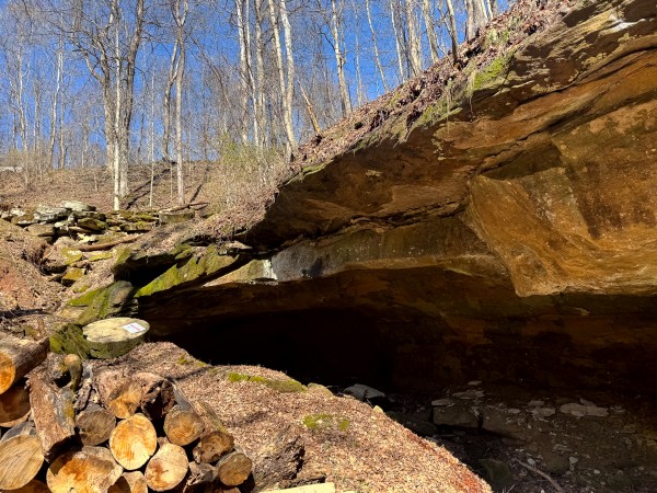 More of Tract 1 - Millstone Caves