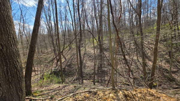Tract 1 at Muskingum Woods property photo