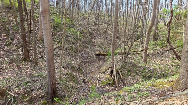 Tract 1 at Muskingum Woods property photo